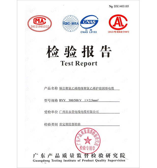 檢驗(yàn)報(bào)告bvv300-500V 1X2.5